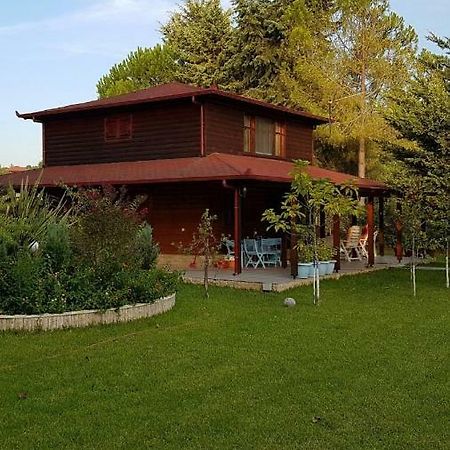 Nikol House Posidi Villa Eksteriør billede